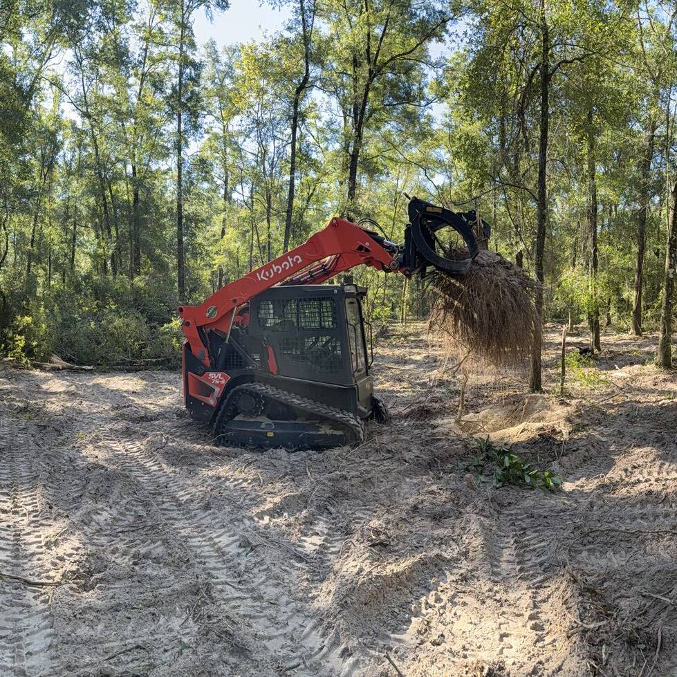brush land gainesville fl heavy