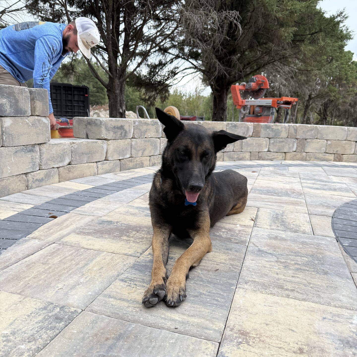 pavement walkway pet friendly