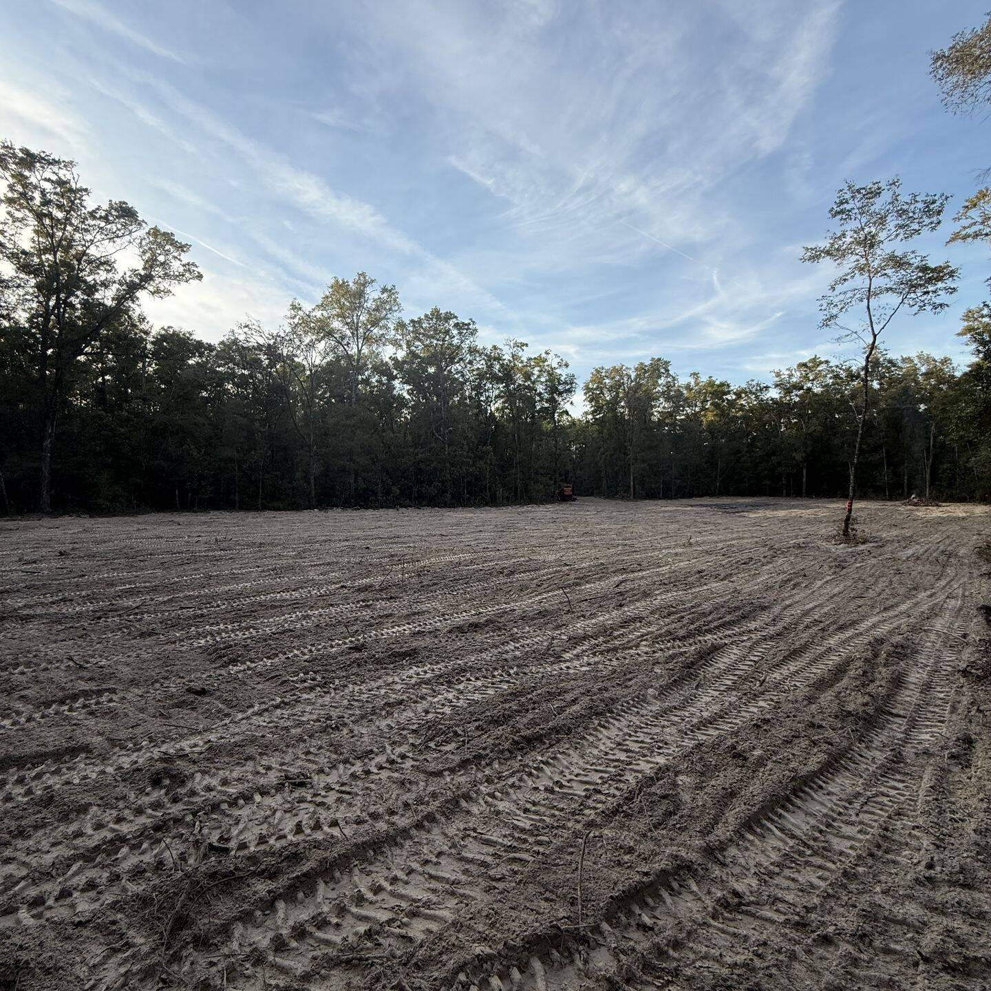 removal site ocala fl preparation